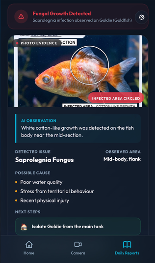 Aqua Lens AI app alert detail screen showing an AI observation of fungal growth with possible causes and next steps