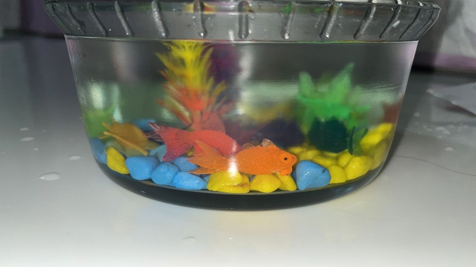 Overhead view of the bench-test tank with coloured gravel, plastic plants, and toy fish