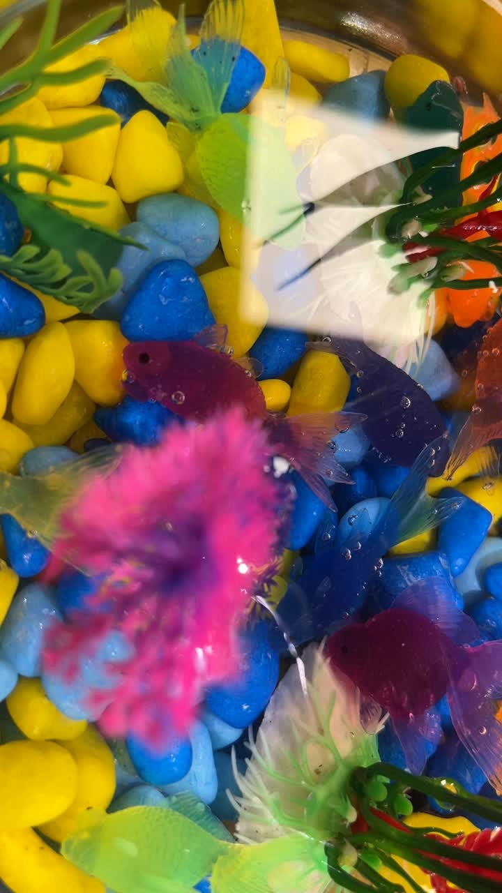 Detail shot of toy fish and coloured gravel in the test tank